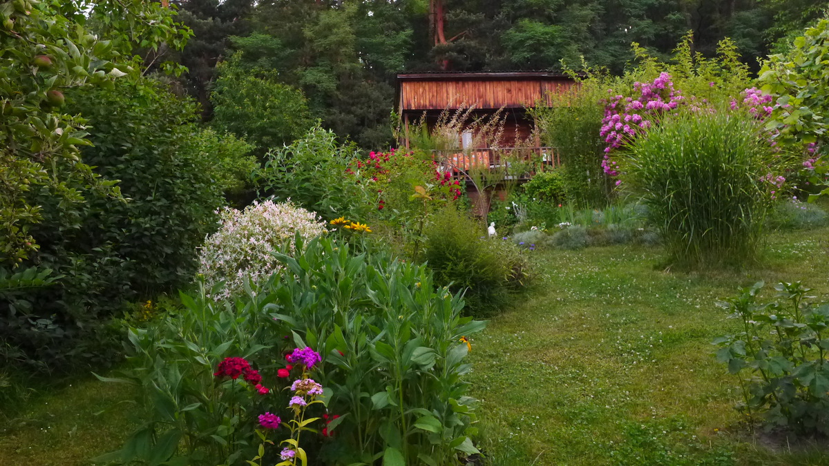 Fotoreportáž: Letní den na zahradě
