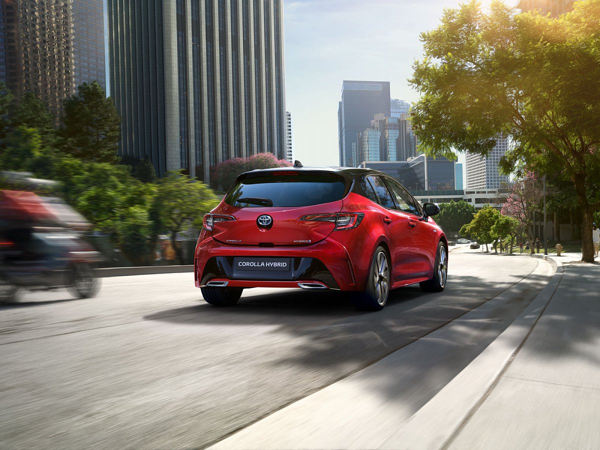 Corolla3.jpg