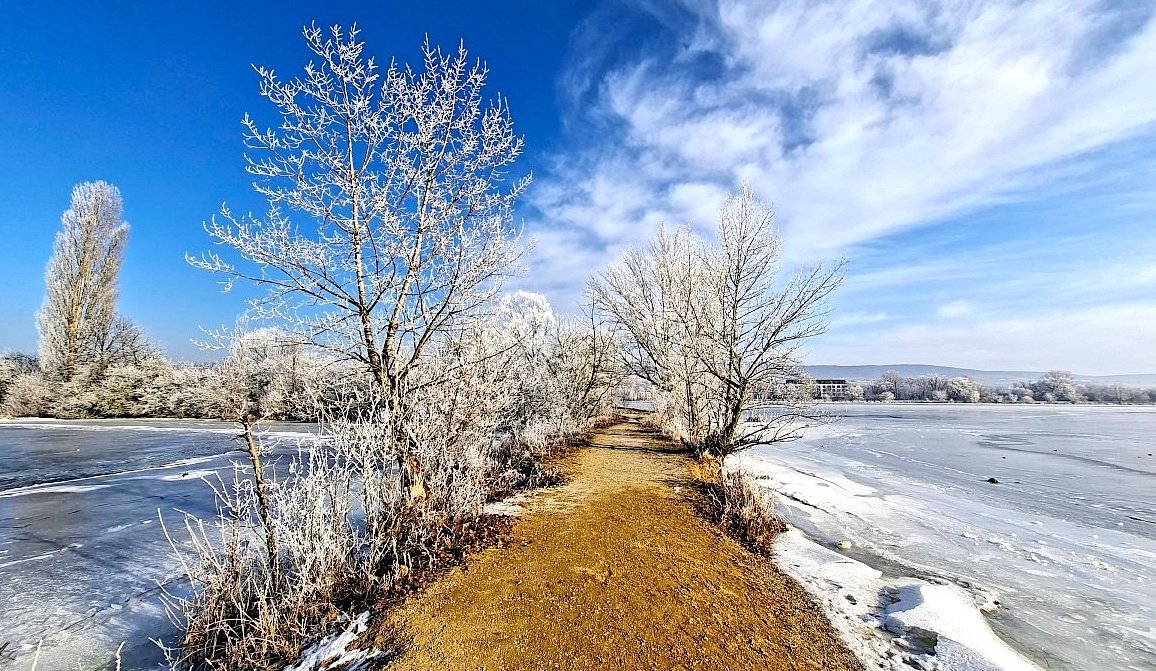 FOTO DNE 25.1.: Jana Levická - Zima v Piešťanech