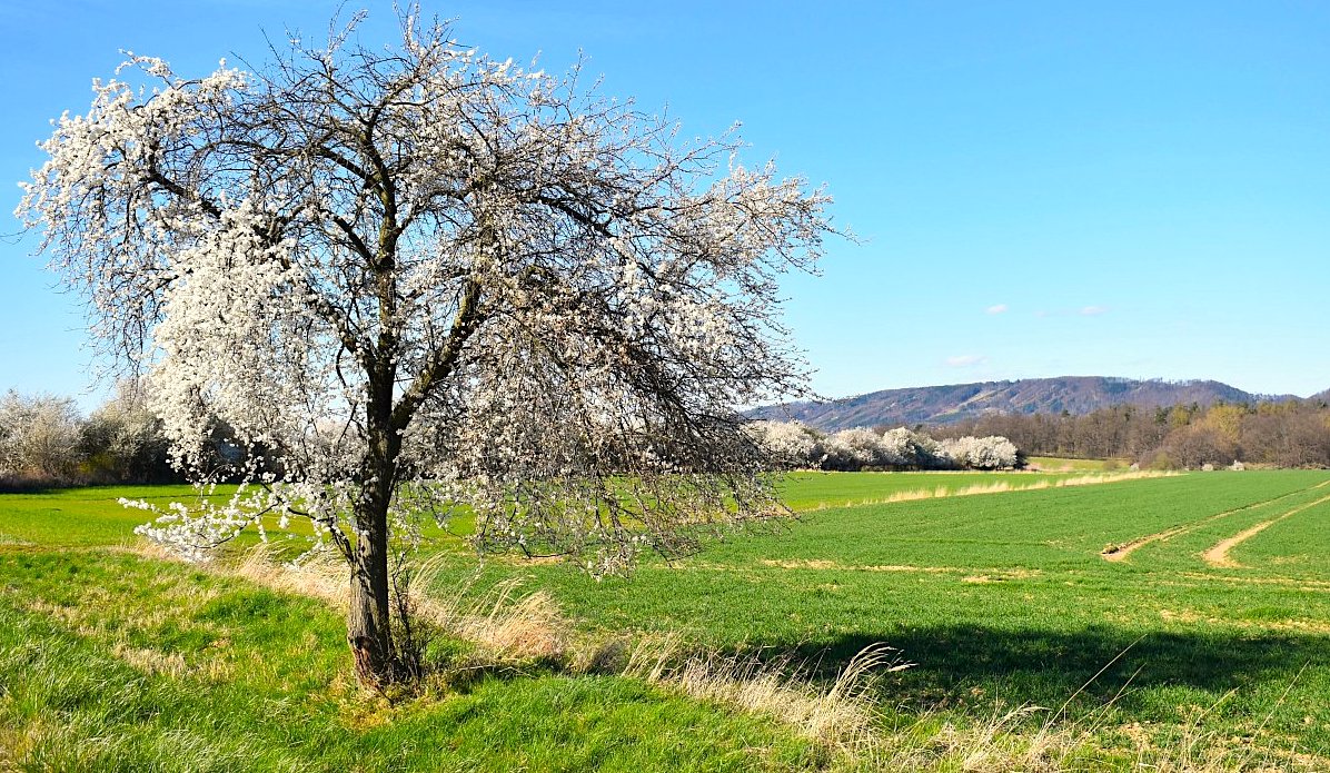 FOTO DNE 13.4.: Lenka Měkotová - V dáli Železné hory