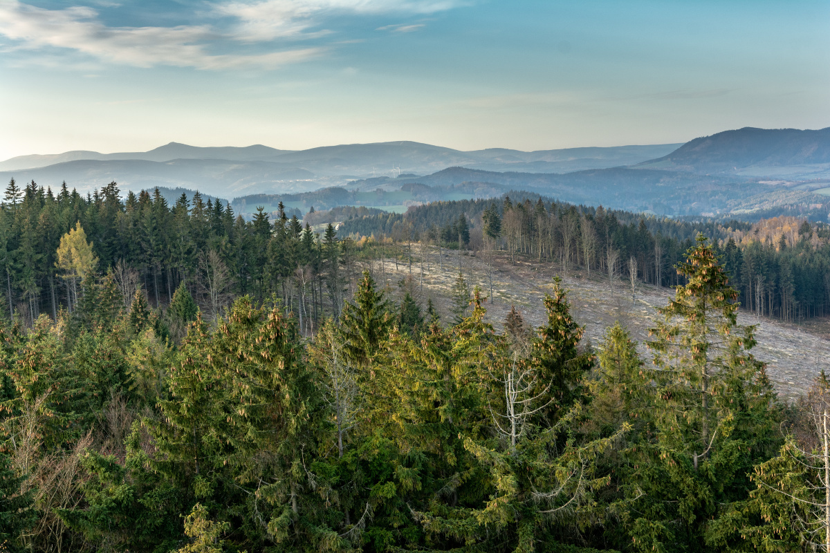 Krkonoše ze Žaltmanu