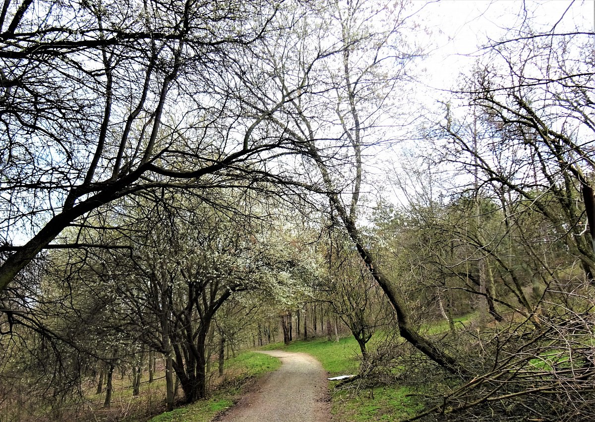 Pranostiky pro celý rok VIII