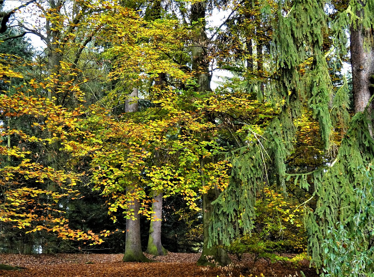 Pranostiky pro celý rok XXI