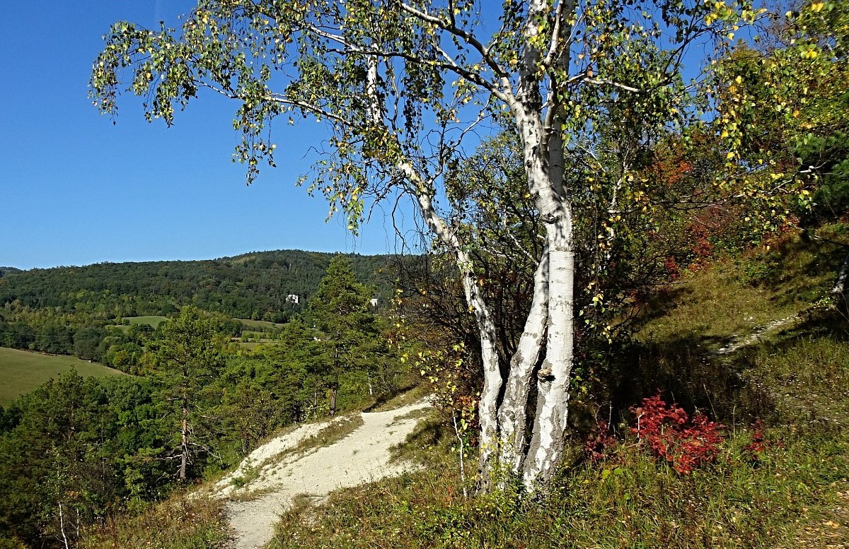 Barevným podzimem ze Žitenic do Litoměřic přes Bílou stráň