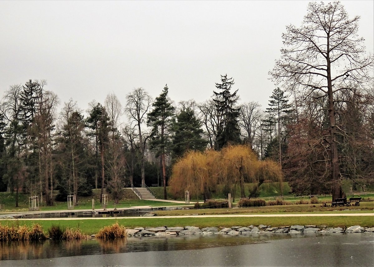 Pranostiky pro celý rok XXII