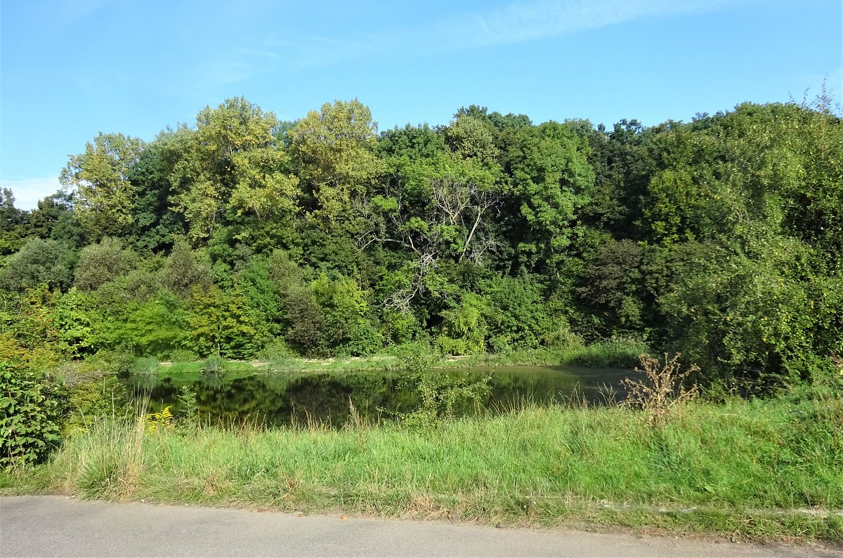 K Prdlavé studánce