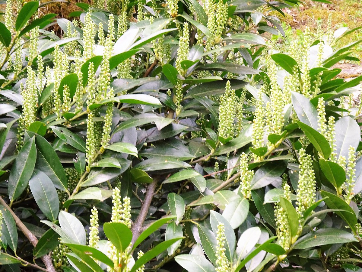 Pranostiky pro celý rok VII