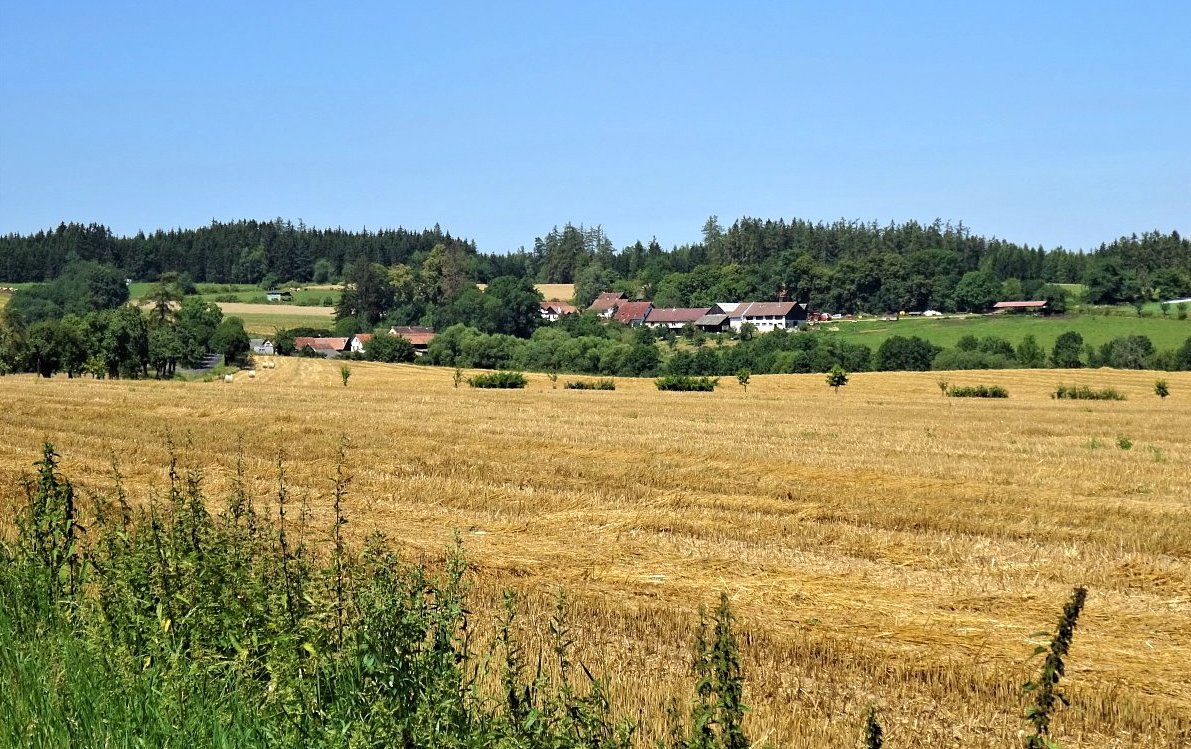 Letní snění: O tom, co nebylo, bylo a už nebude