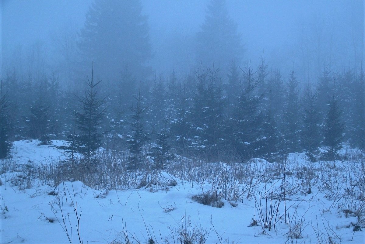 Procházka na horách