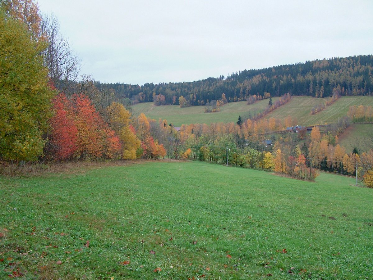 DSCF6199.JPG