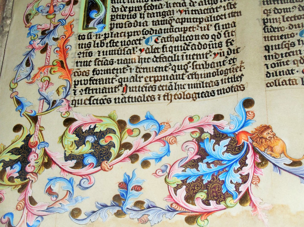 Výstava v Karolinu - Historie Karlovy univerzity