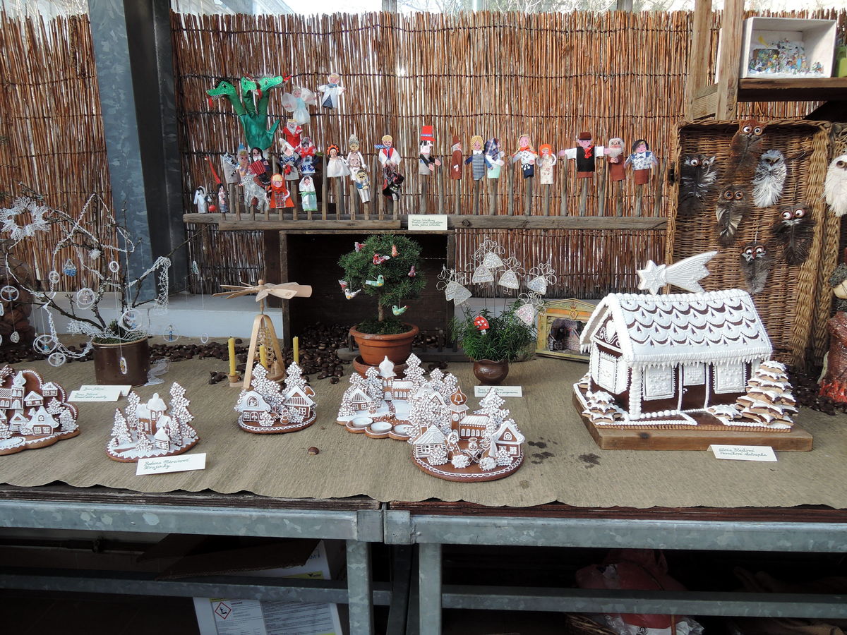 Vánoční výstava v Botanické zahradě Karlovy Univerzity