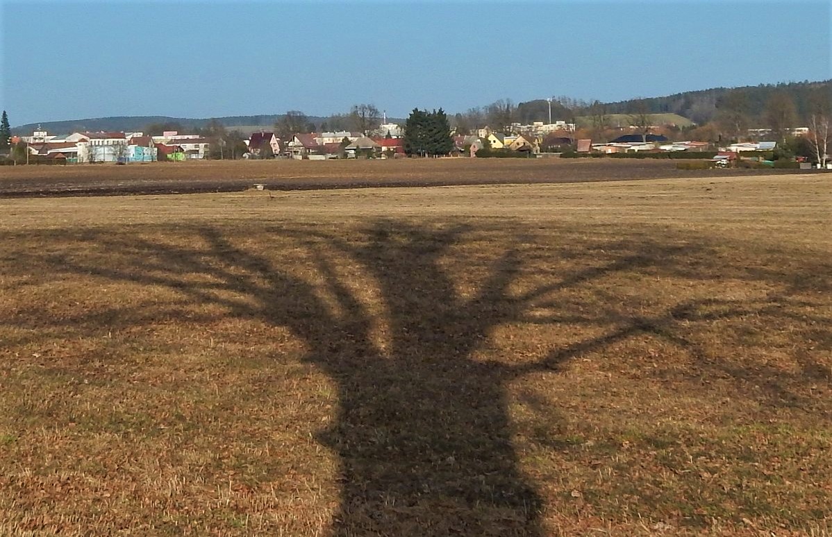 Už jednou viděné není nemoc!