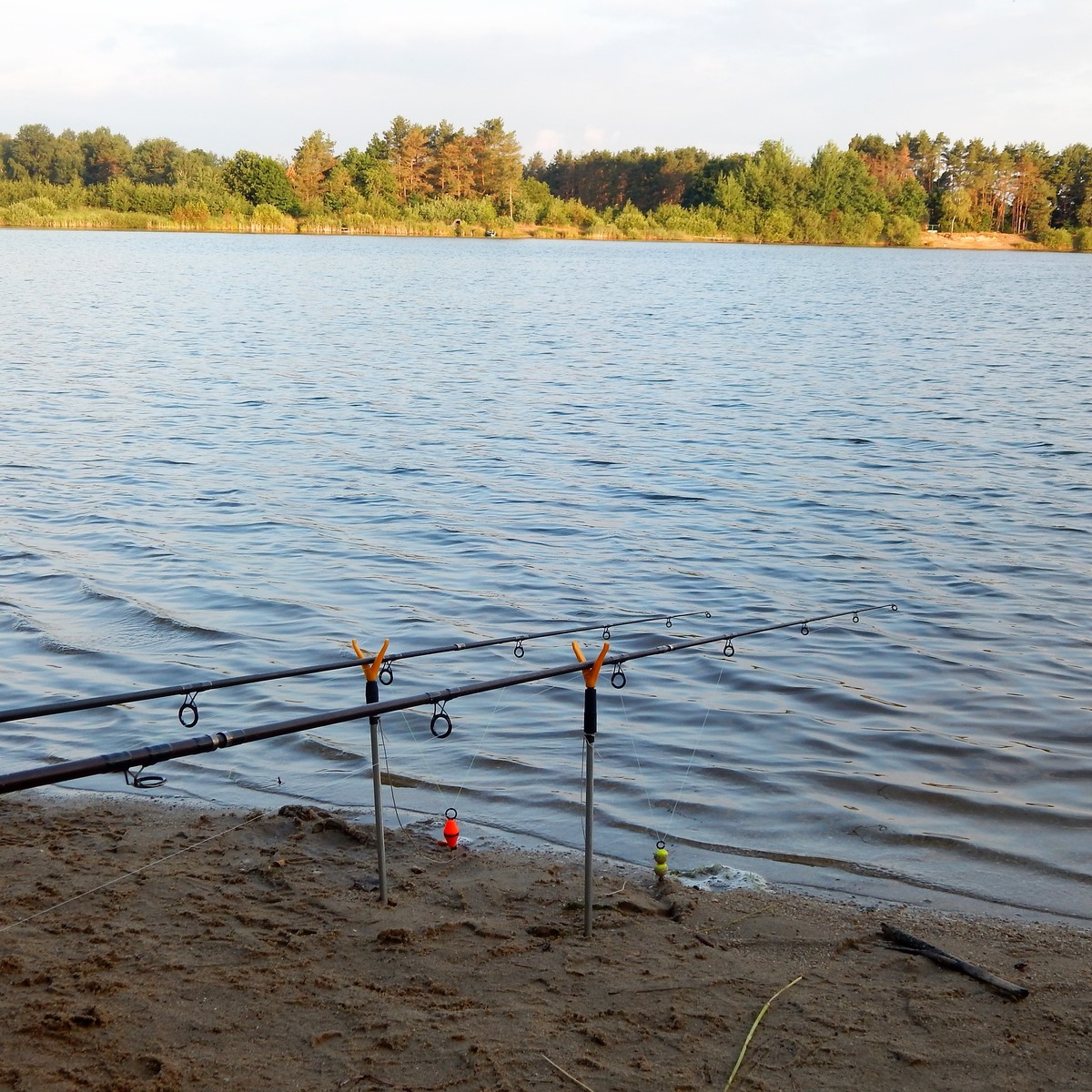 Červencové rybářské ráno