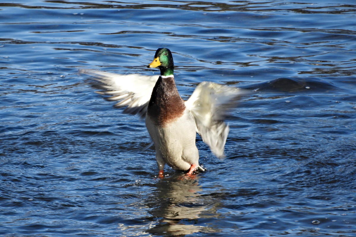 Kdo to ví, odpoví...