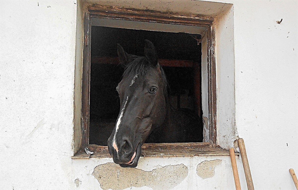 Malé a velké radosti
