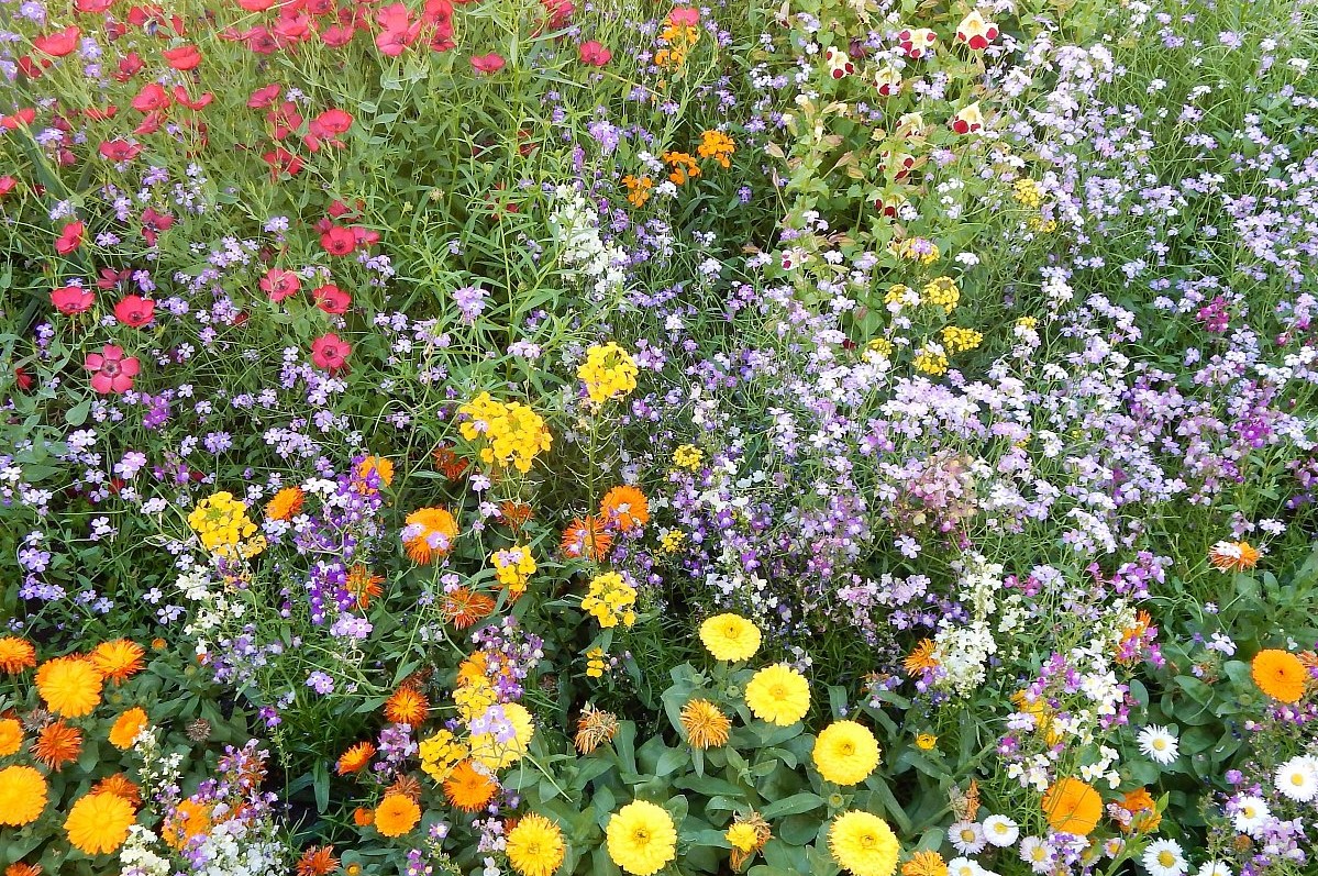 Kupte si prosím něco kvalitního na zametání