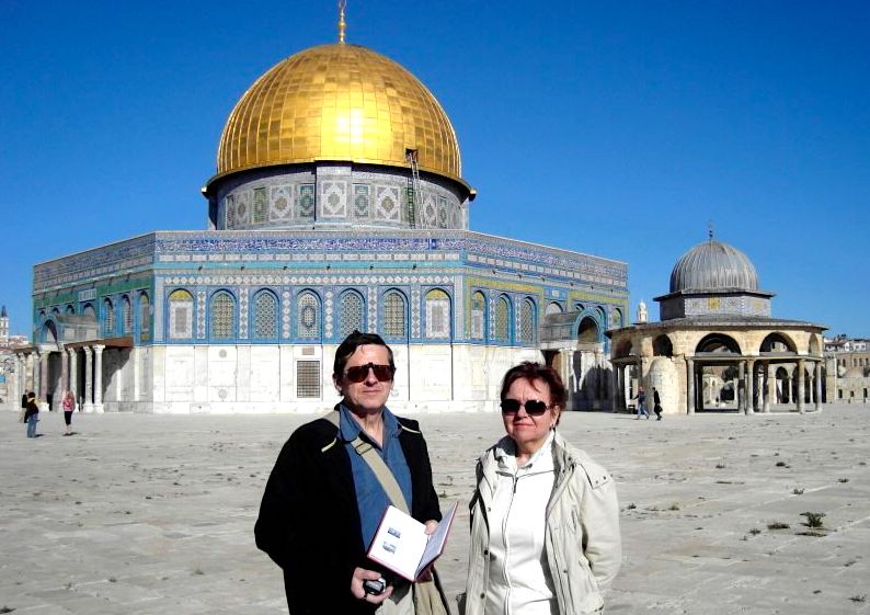 Snítka olivy ze Země zaslíbené