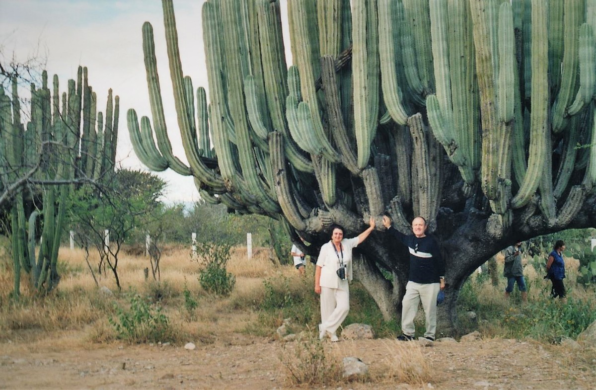 Jan Žižka: Na našich cestách neztrácíme ani minutu