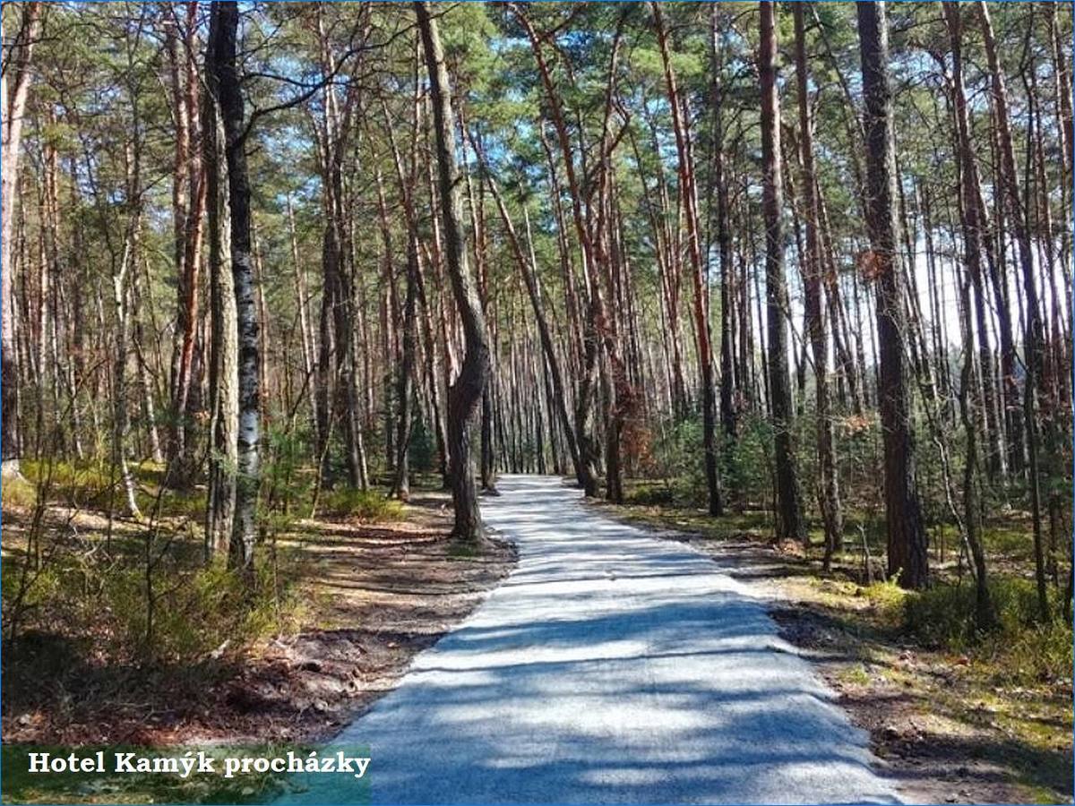 Hotel Kamyk procházky po lese
