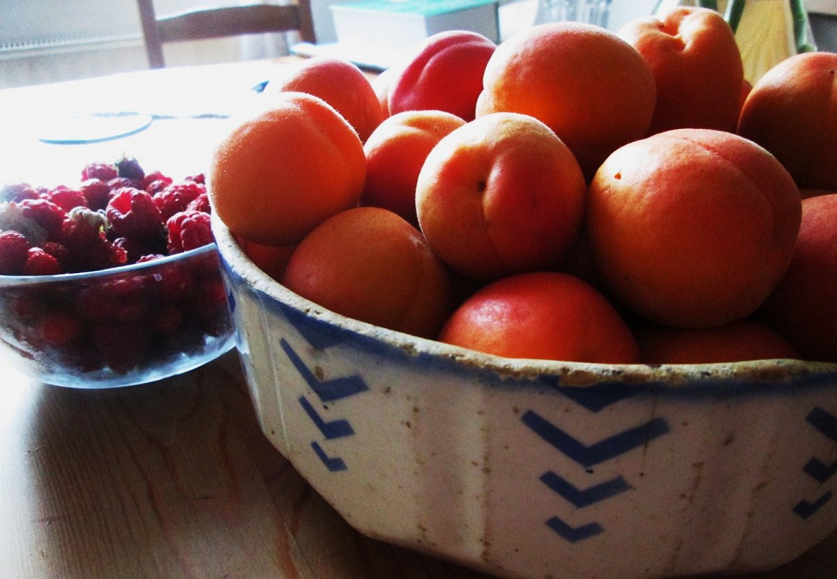 Letos se to ovoce snad zbláznilo