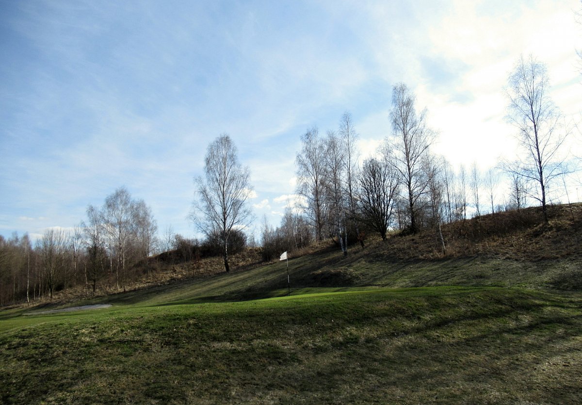 Fotoreportáž: Stromy a já 2