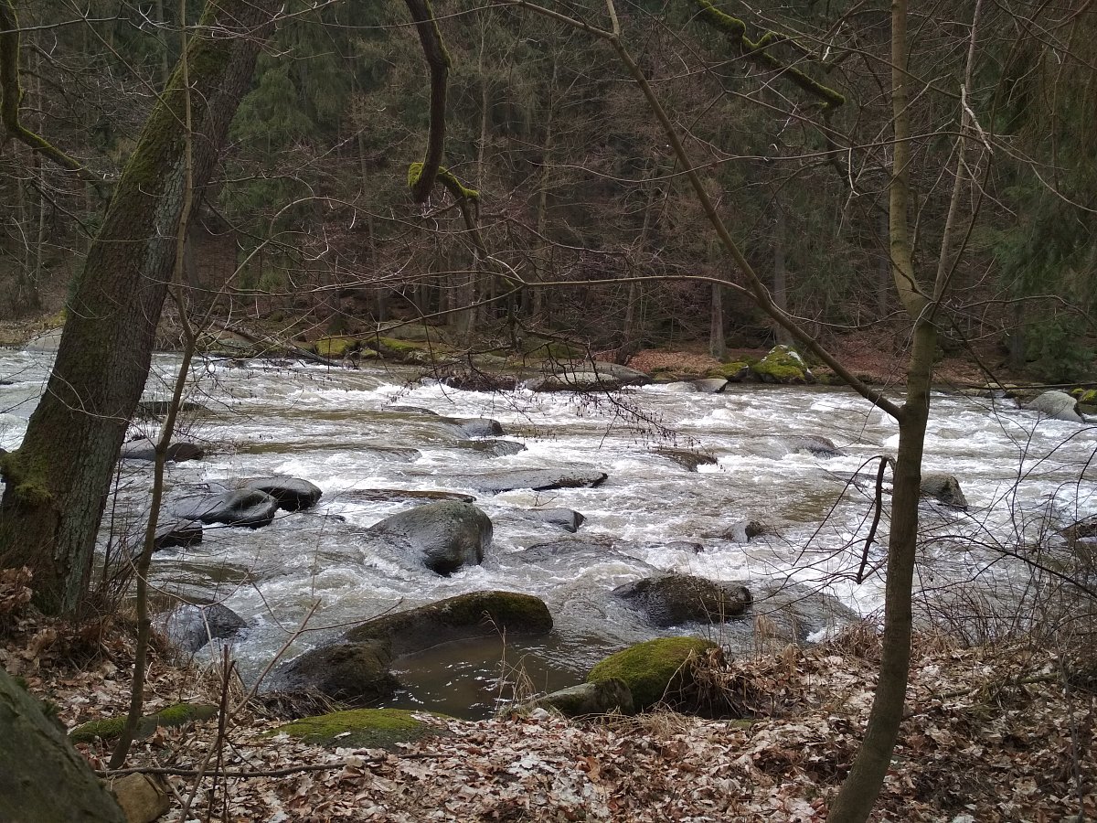 Vycházka kolem řeky