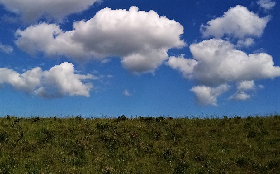 Moje nezapomenutelné prázdniny.