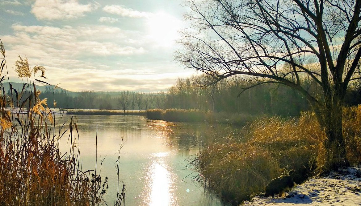 FOTO DNE 5.2.. Soňa Prachfeldová - Únor převzal vládu