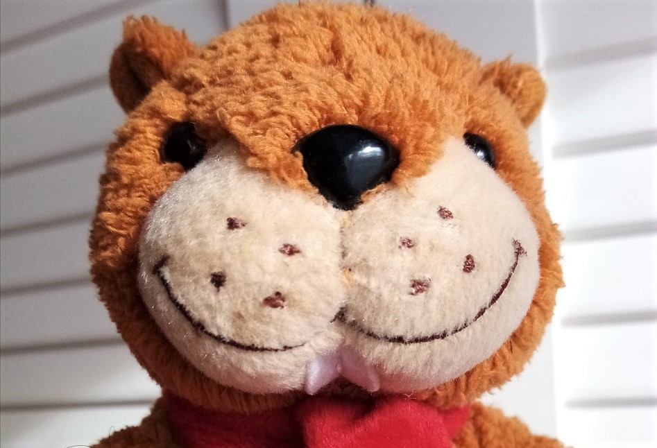 Z příběhů naší rodiny: Bobr na památku