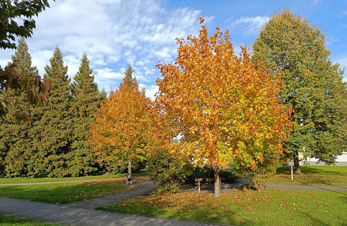 Otevřme podzimu branku