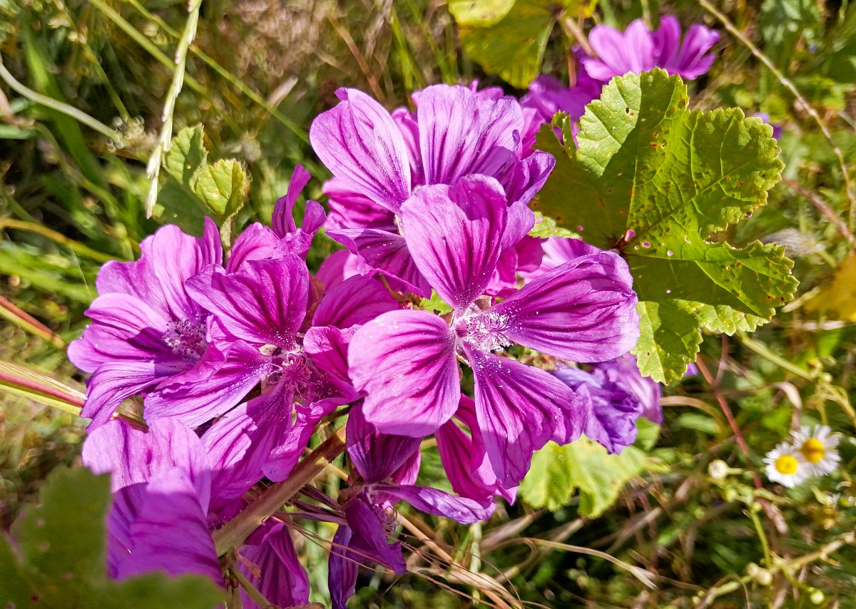 Fotoreportáž: Jaro 2024 – 2
