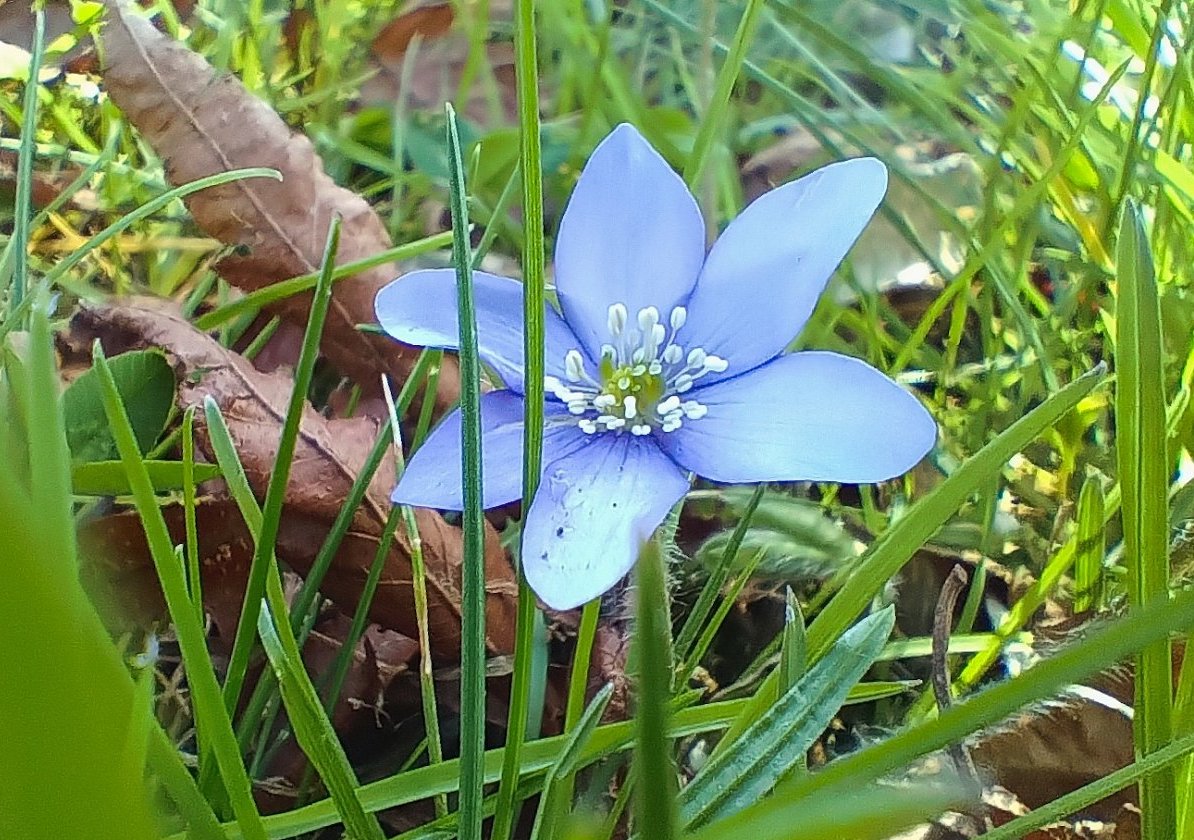Fotoreportáž: Jaro 2025