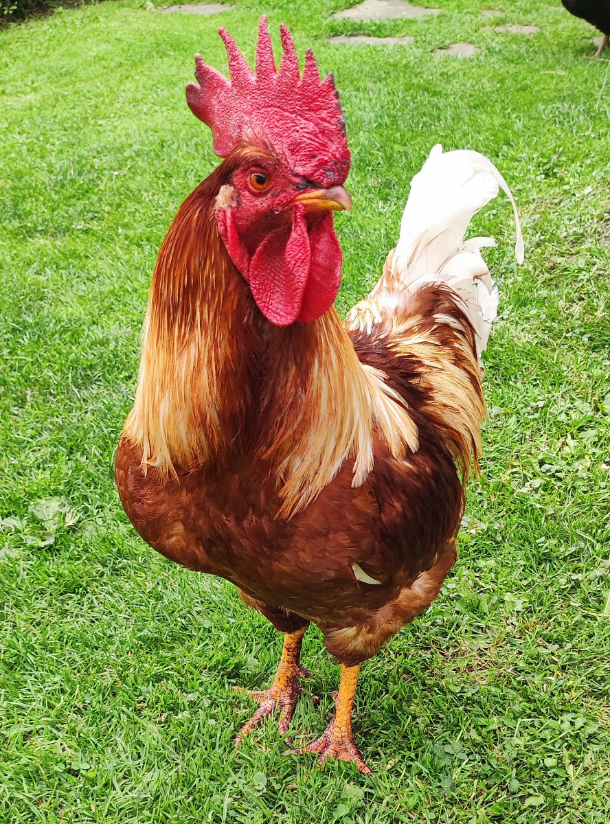 Jak dlouho se to dá vydržet?