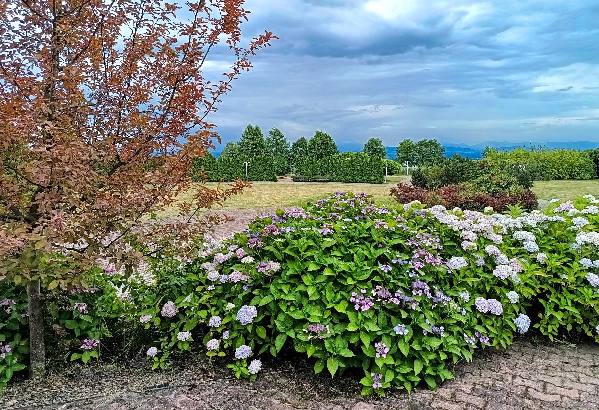 Fotoreportáž: Léto 2025