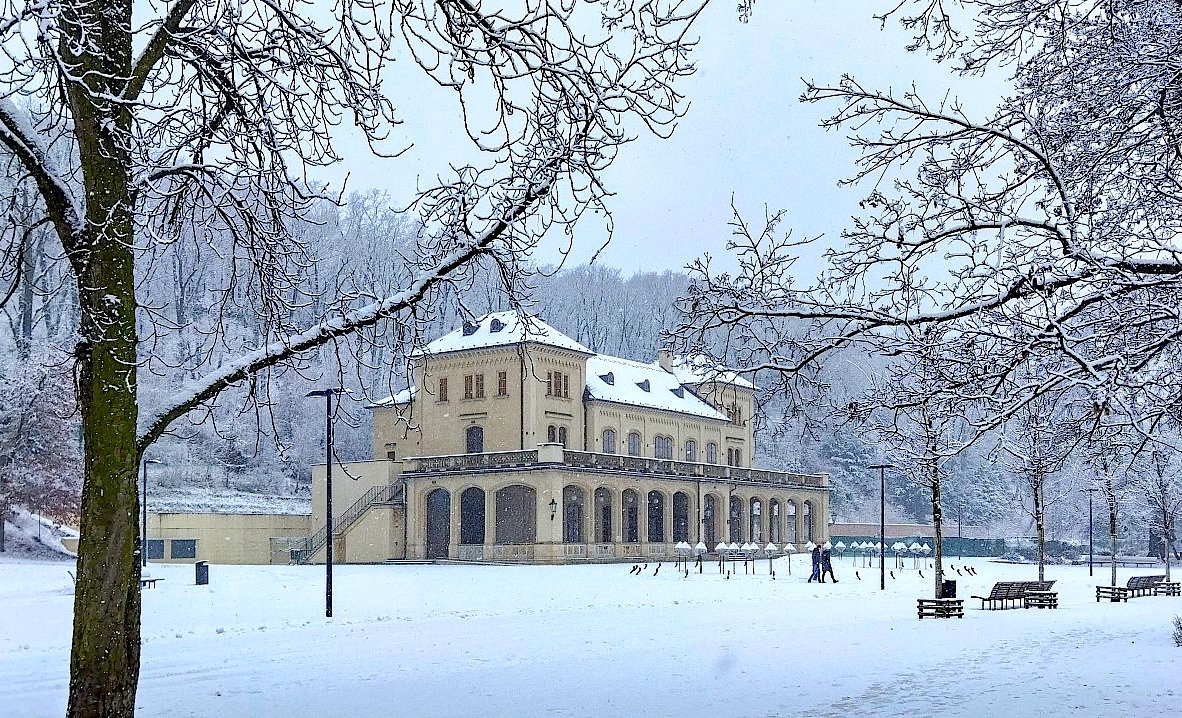 FOTO DNE 4.2.: Hana Polednová - Šlechtovka v pražské Stromovce