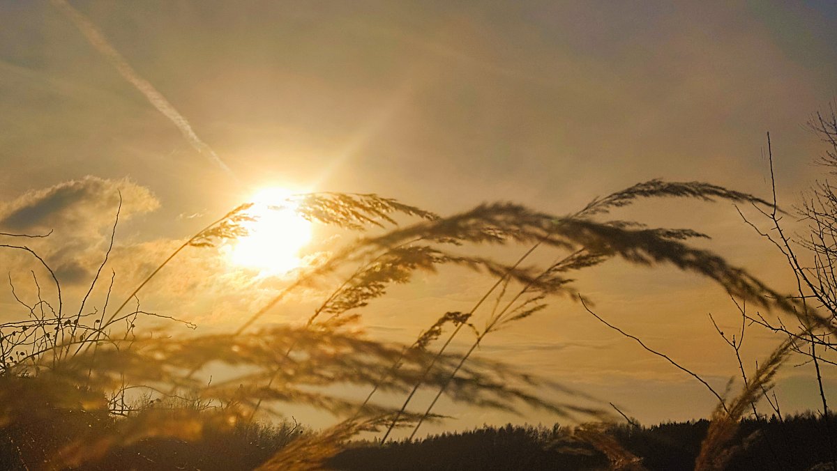 Únor - hranice mezi zimou a jarem