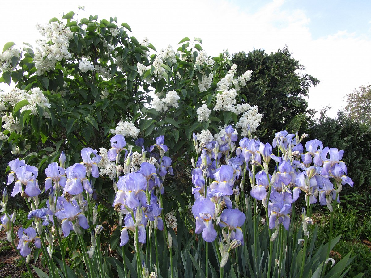 Desátý výlet v Brdech