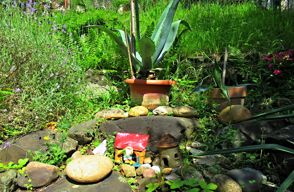 Zelené sobotní odpoledne