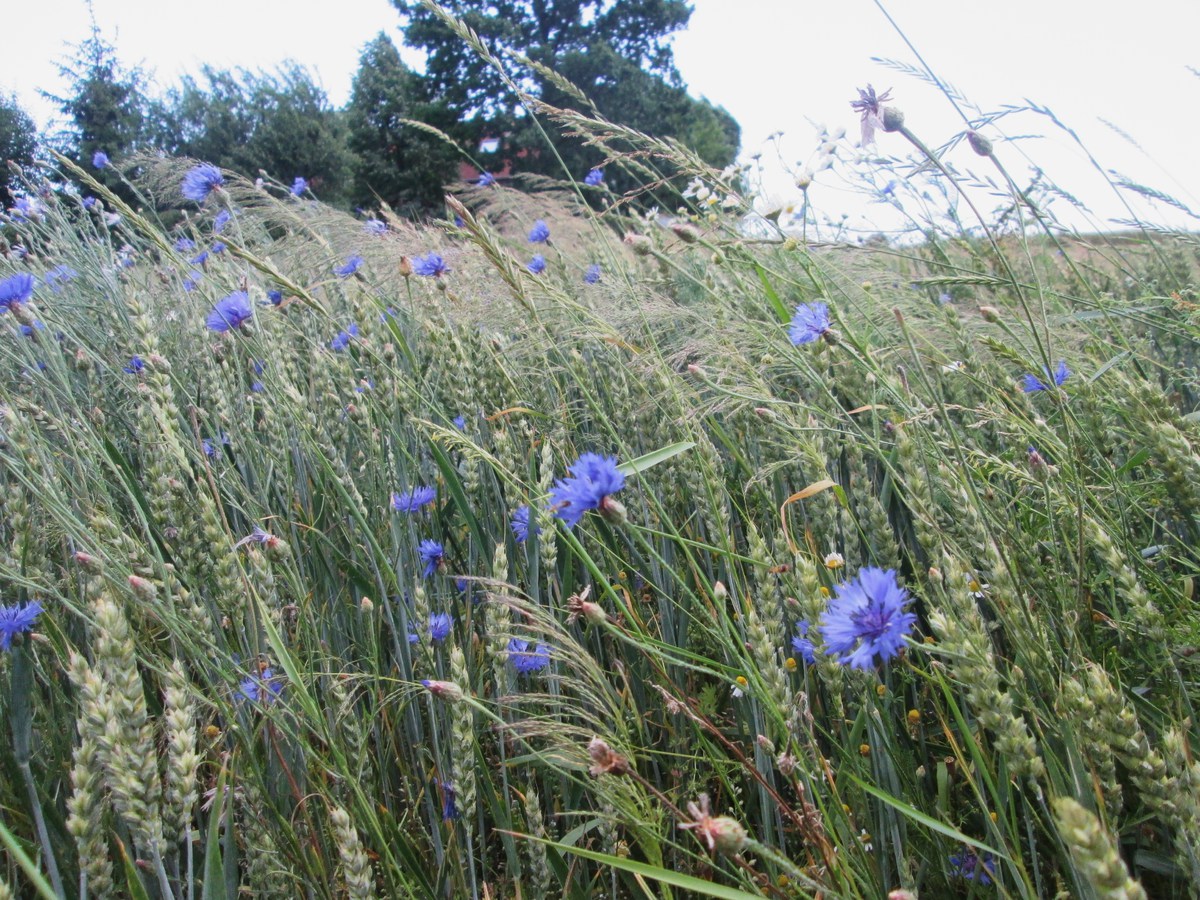 Poslední dny prázdnin