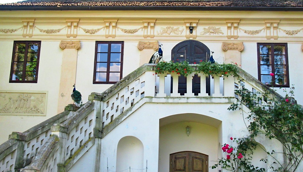 Letošní dovolená na jihu 1