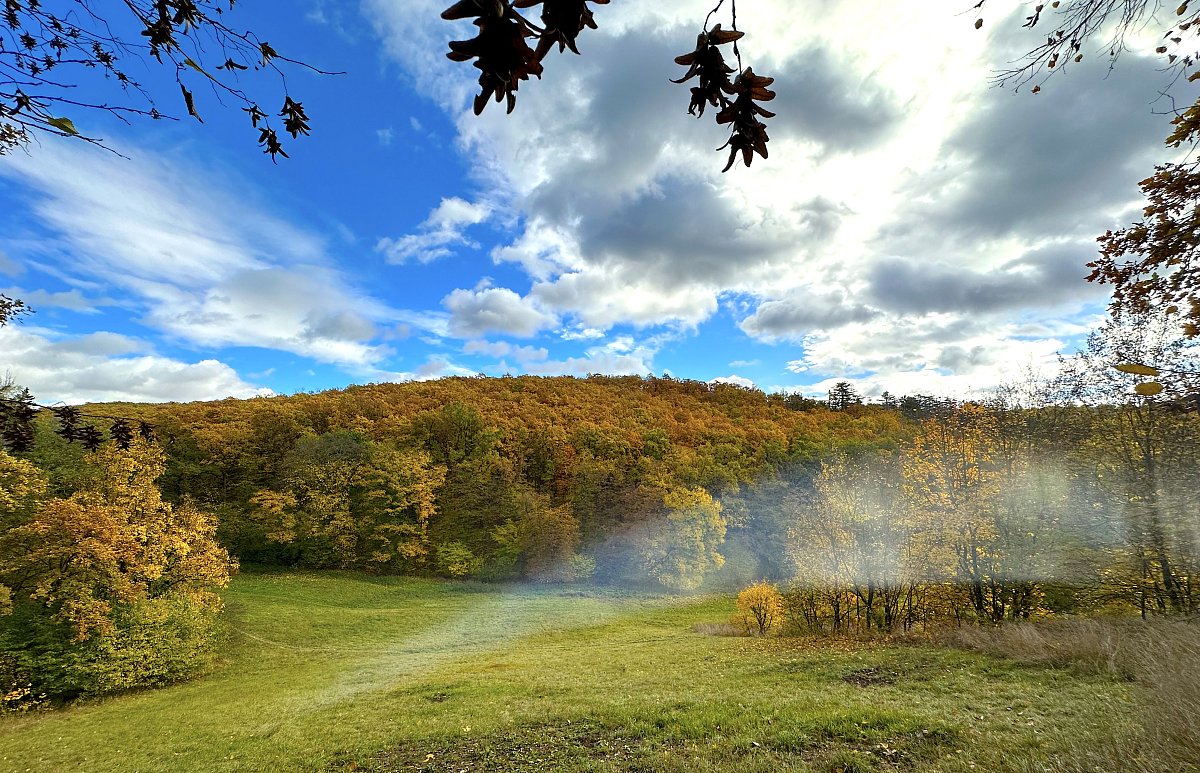 Jak dopadlo podzimní soutěžení?