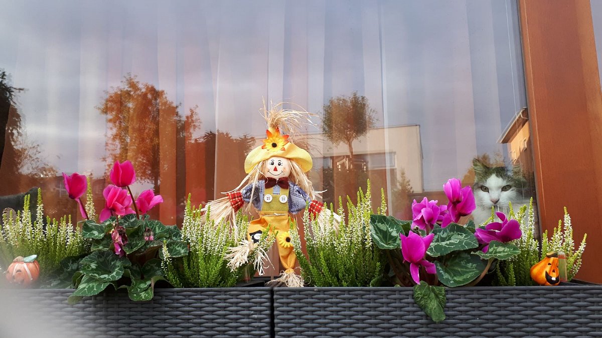 Proč mám ráda podzim