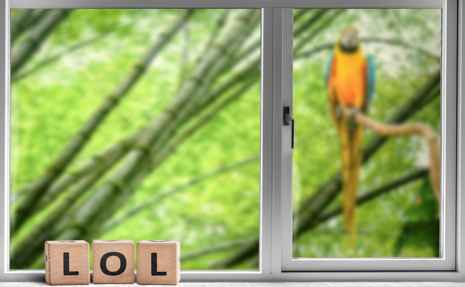 Řeč ve zkratkách. Rozumíte jí?
