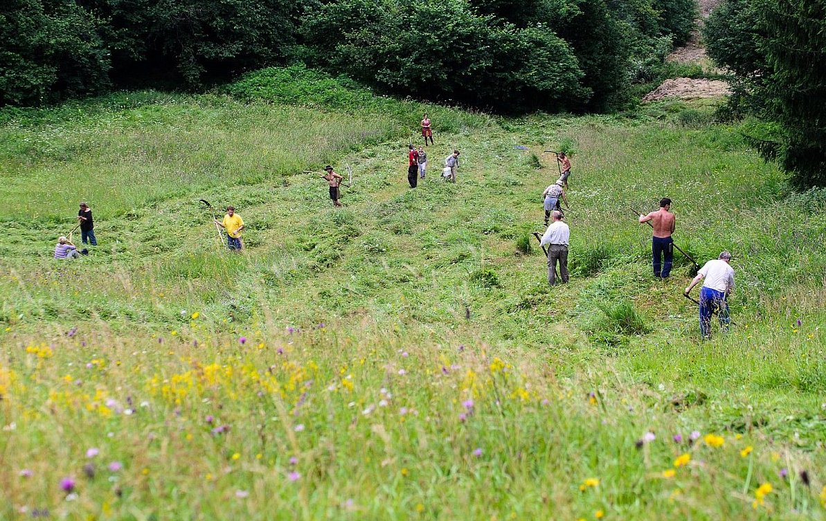Dostal jsem pozvánku na kosení luk