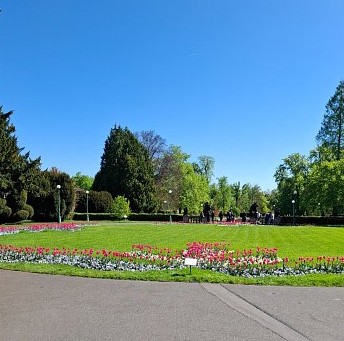 Letní soutěžení 2025 Letní tip pro seniory