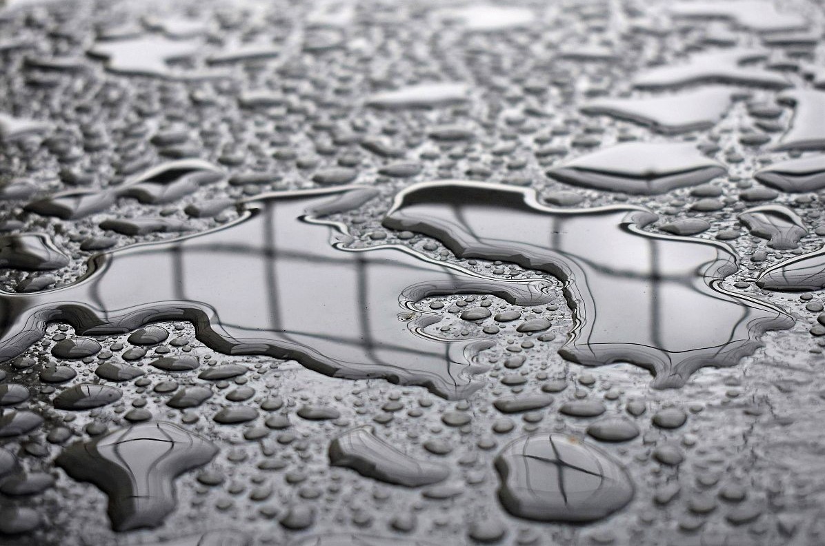 Lenka Měkotová - Po dešti.JPG