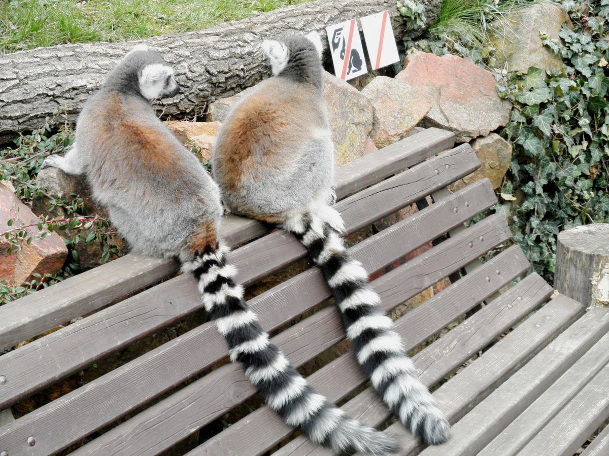 Povedlo se...aneb co stojí za přečtení!