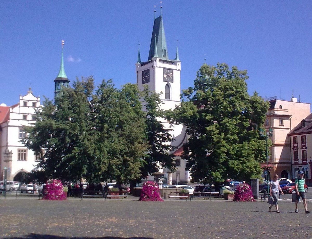 Kurzivka skoro letní