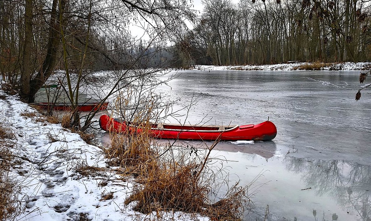 FOTO DNE 27.1.: Alena Tollarová - Ohře těchto dnů